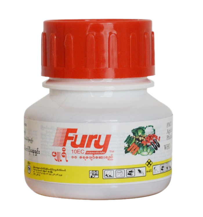 Fury 10 EC