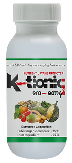 K- tionic
