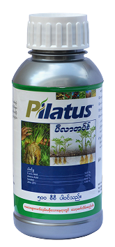 Pilatus
